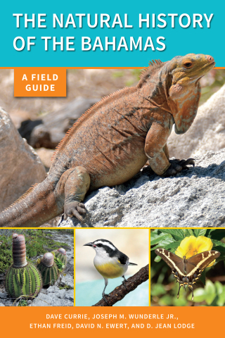 Omslagafbeelding: The Natural History of The Bahamas 9781501713675