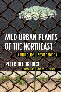 Cover image: Wild Urban Plants of the Northeast 2nd edition 9781501740442