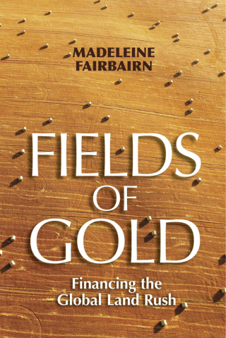 Titelbild: Fields of Gold 9781501750083