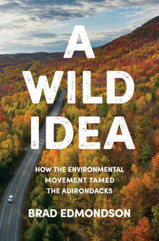 Cover image: A Wild Idea 9781501759017