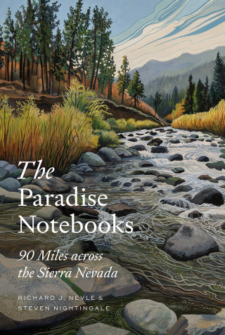 صورة الغلاف: The Paradise Notebooks 9781501762697