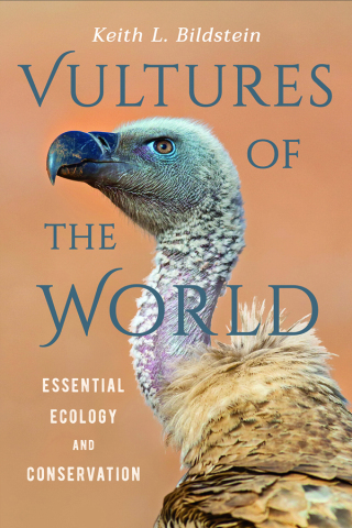Imagen de portada: Vultures of the World 9781501761614