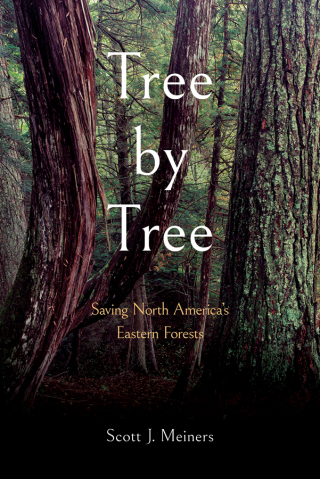 Imagen de portada: Tree by Tree 9781501771262