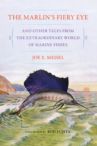 Cover image: The Marlin's Fiery Eye and Other Tales from the Extraordinary World of Marine Fishes 9781501779442
