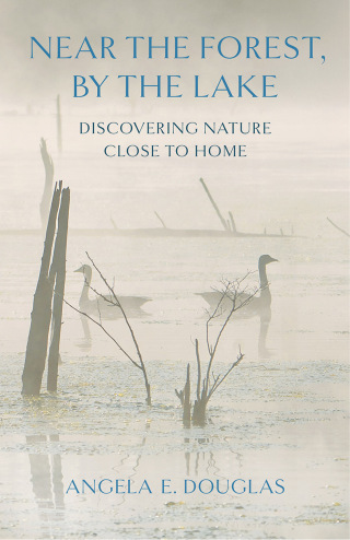 Cover image: Near the Forest, By the Lake 9781501780370