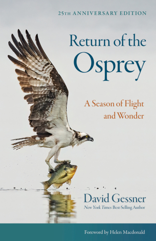 表紙画像: Return of the Osprey 2nd edition 9781501783746