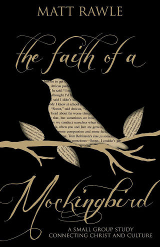 Cover image: The Faith of a Mockingbird 9781501803697