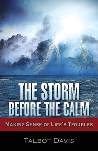 صورة الغلاف: The Storm Before the Calm 9781501804311