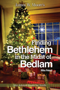 Cover image: Finding Bethlehem in the Midst of Bedlam 9781501805011