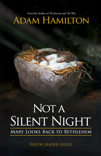Cover image: Not a Silent Night Youth Leader Guide 9781501815713