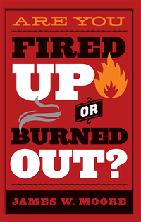 Cover image: Are You Fired Up or Burned Out? 9781501816628