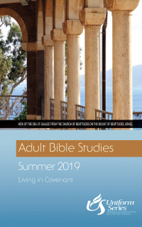 表紙画像: Adult Bible Studies Summer 2019 Student [Large Print]