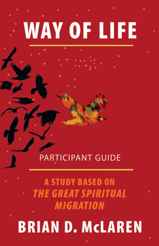 Omslagafbeelding: Way of Life Participant Guide 9781501847691