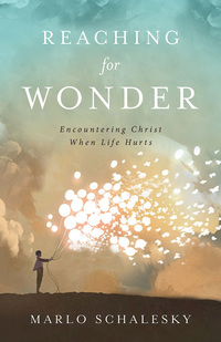 Cover image: Reaching for Wonder