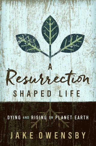 Cover image: A Resurrection Shaped Life 9781501870811