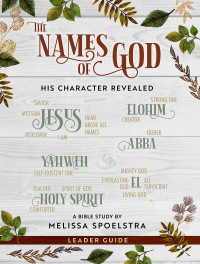 表紙画像: The Names of God - Women's Bible Study Leader Guide 9781501878107