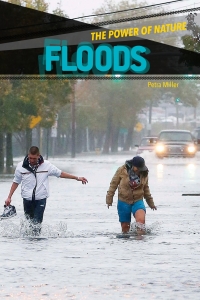 Cover image: Floods 9781502602114