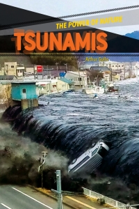 Cover image: Tsunamis 9781502602190