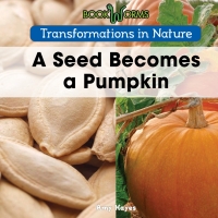 Cover image: A Seed Becomes a Pumpkin