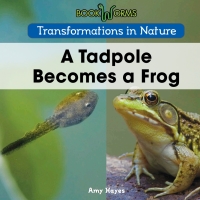 صورة الغلاف: A Tadpole Becomes a Frog