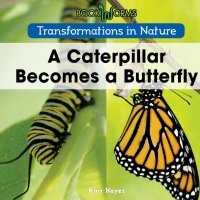 Imagen de portada: A Caterpillar Becomes a Butterfly