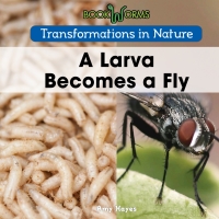 صورة الغلاف: A Larva Becomes a Fly