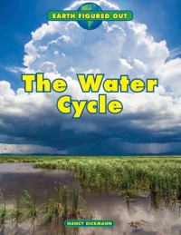 表紙画像: The Water Cycle
