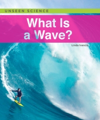 Omslagafbeelding: What Is a Wave?
