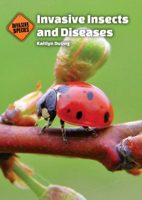 Cover image: Invasive Insects and Diseases
