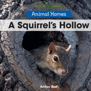 Cover image: A Termite’s Colony