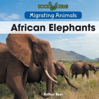 Cover image: American Bison