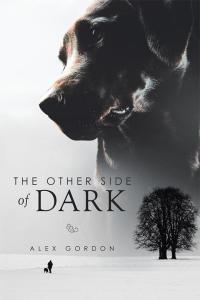 Imagen de portada: The Other Side of Dark 9781503500815