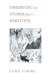 Cover image: Observing the Storm from a Barstool 9781503504622