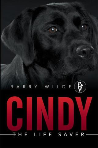 Cover image: Cindy 9781503505094