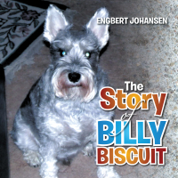 Cover image: The Story of Billy Biscuit 9781503535077