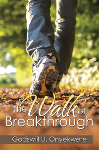 Cover image: The Walk of Breakthrough 9781503539303