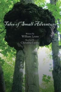 Cover image: Tales of  Small Adventure 9781503549135