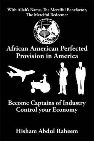 Cover image: African American Perfected Provision in America 9781503552012