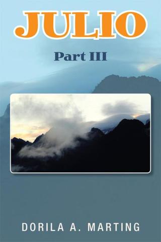 Cover image: Julio 9781503568884