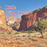 Imagen de portada: Little Wild Horse Canyon 9781503578005