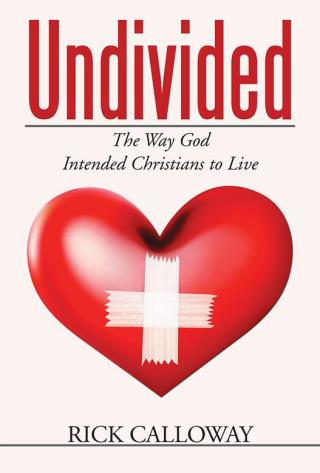 Imagen de portada: Undivided 9781503584983