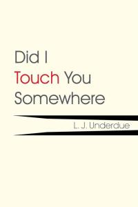 Cover image: Did I Touch You Somewhere 9781503588622