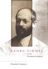 Titelbild: Georg Simmel and the Disciplinary Imaginary 1st edition 9780804798365