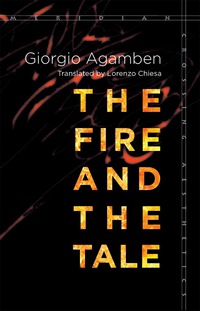 Cover image: The Fire and the Tale 1st edition 9781503601642