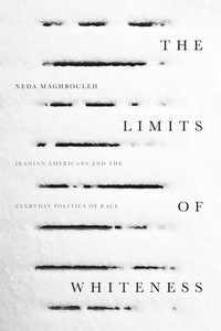Titelbild: The Limits of Whiteness 1st edition 9781503603370