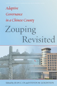 Cover image: Zouping Revisited 1st edition 9781503604001