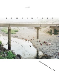 Cover image: Remainders 1st edition 9781503603141