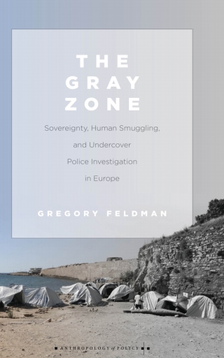 Imagen de portada: The Gray Zone 1st edition 9781503607651