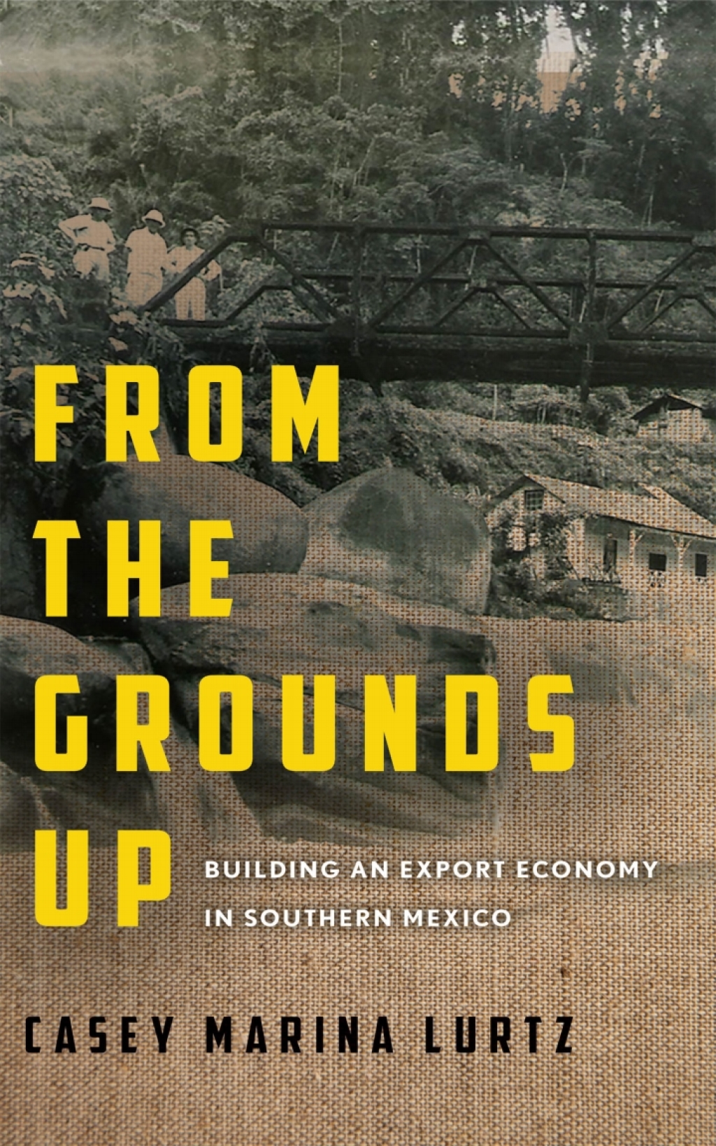 From the Grounds Up Building an Export Economy in Southern Mexico 1st Edition