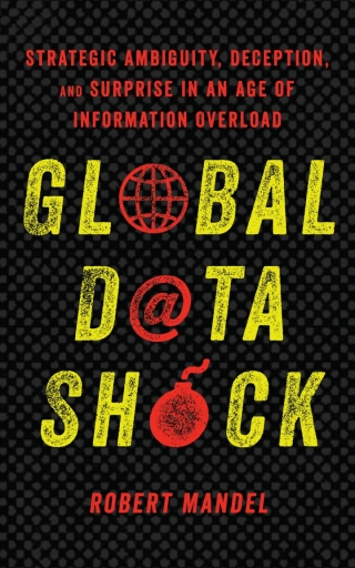 Imagen de portada: Global Data Shock 1st edition 9781503608962